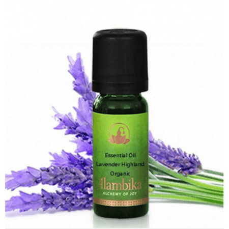 lavendel etherische olie alambika